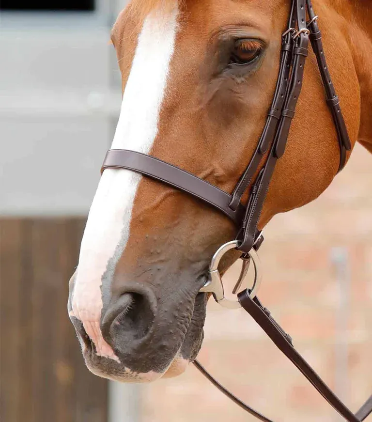 Bridle Parts - Primo Hunter Cavesson Noseband (PEI)