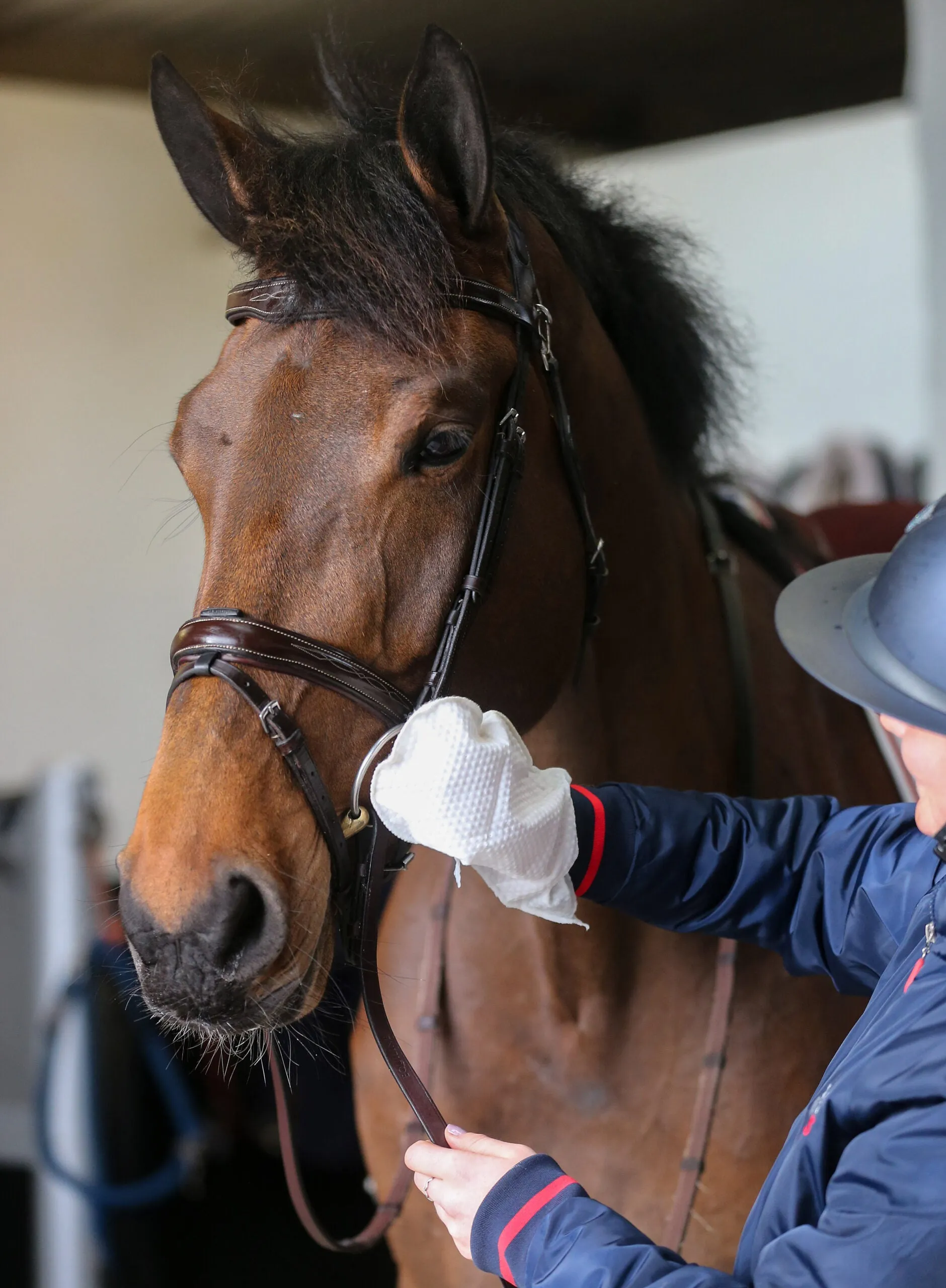 Carr & Day & Martin Belvoir Tack Clean Mitts (Pack 10)