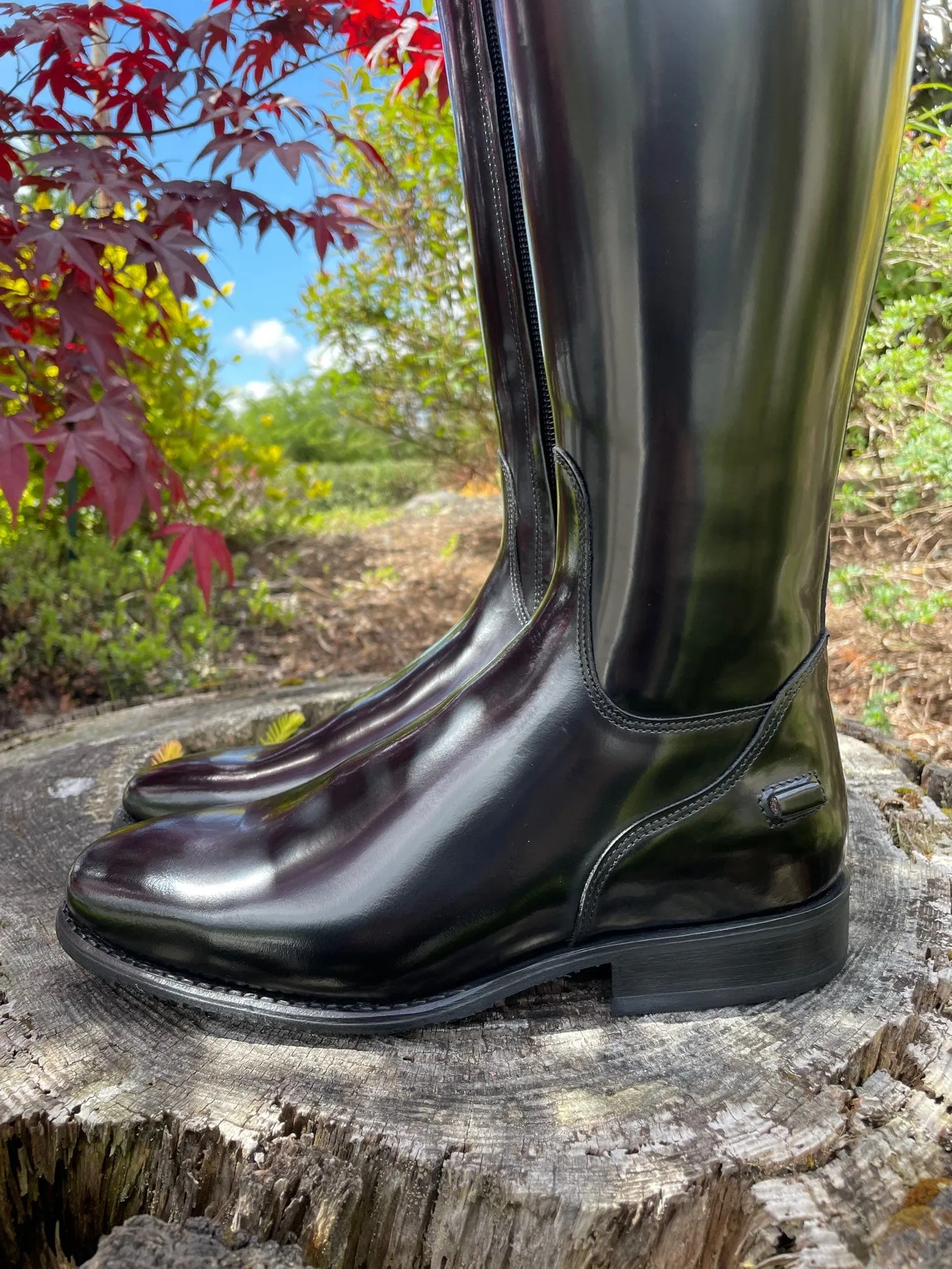 Custom DeNiro Bellini Dressage Boot - Brushed Black with Greta Brown America Top & Swarovski