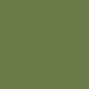 Leather Colour Cream - Olive