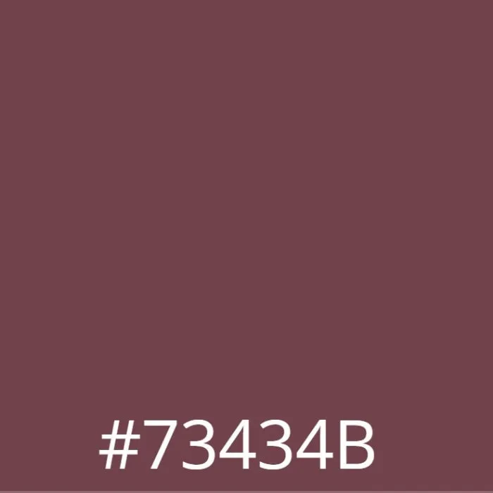 Leather Colour Cream - Pinot