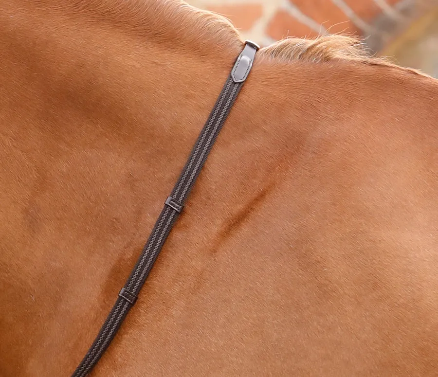 PEI Domenico Web & Rubber Grip Reins